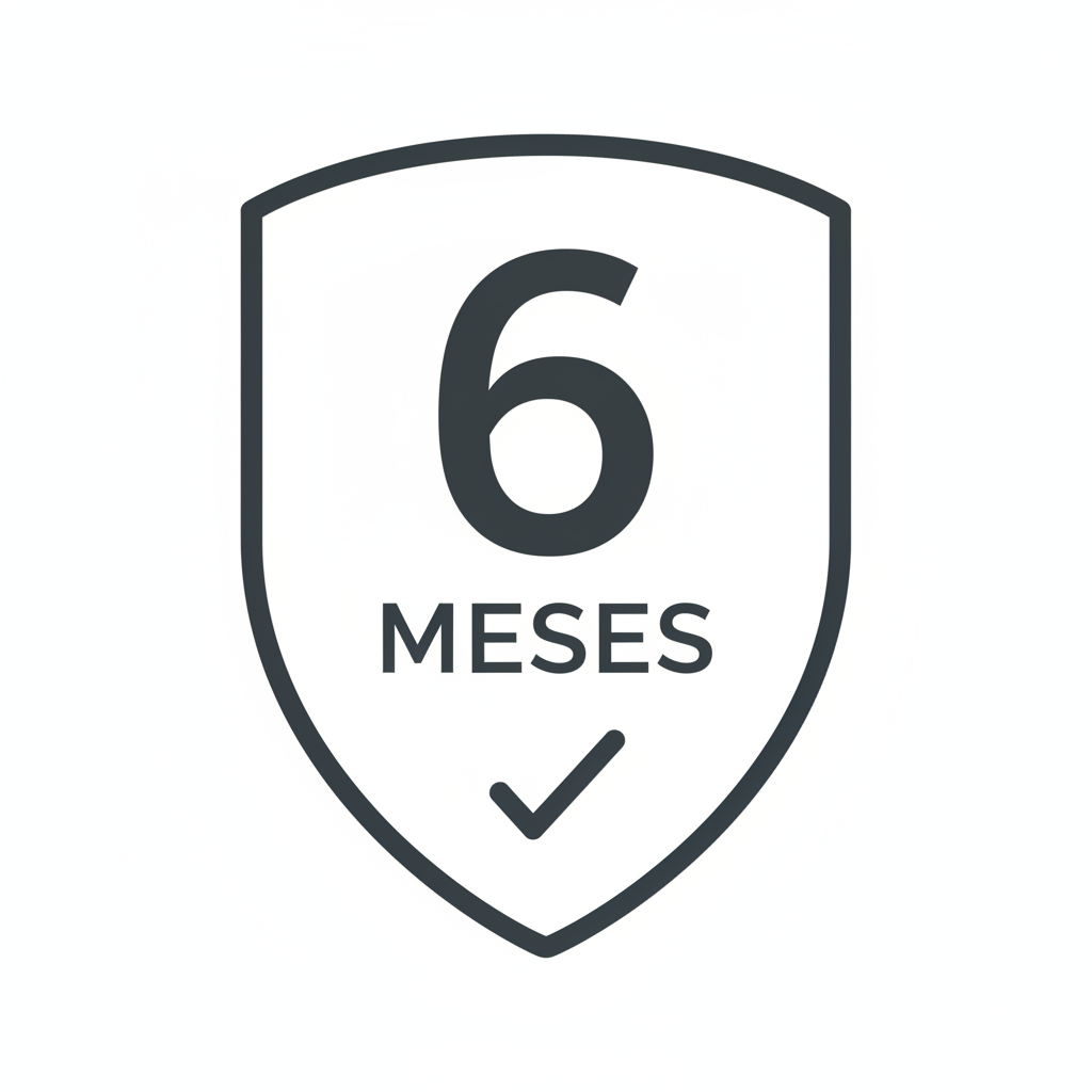 Ícono 6 meses de garantía