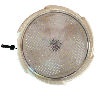 plafon de techo